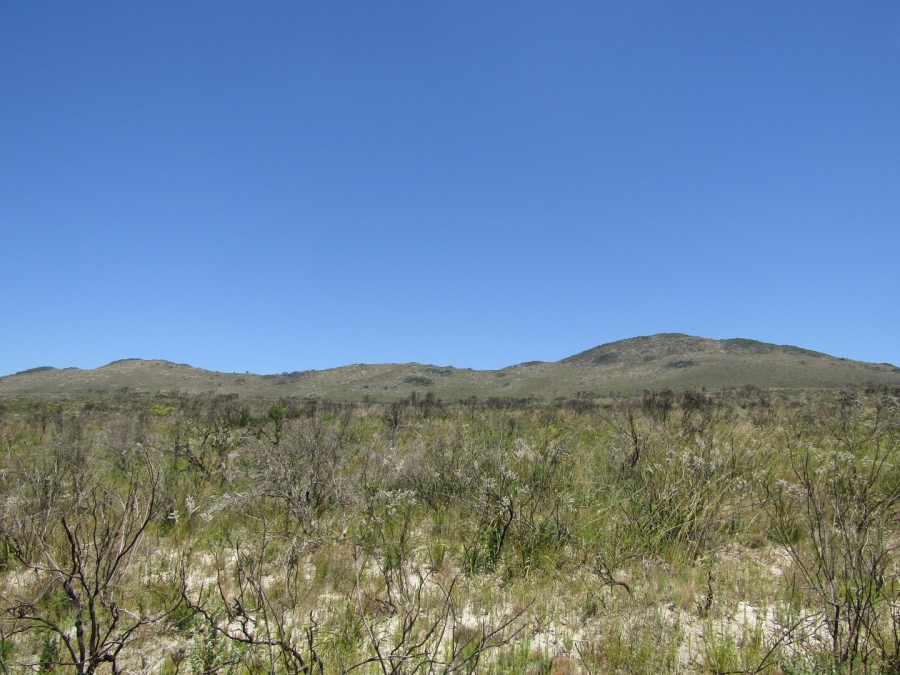 0 Bedroom Property for Sale in Humansdorp Rural Eastern Cape